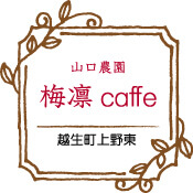 山口農園 梅凛caffee