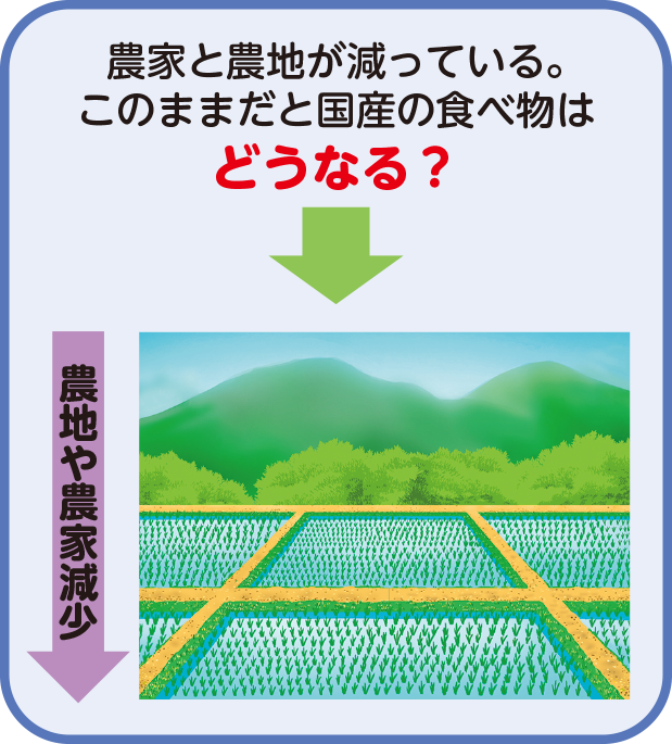 農家と農地が減っている。このままだと国産の食べ物はどうなる？