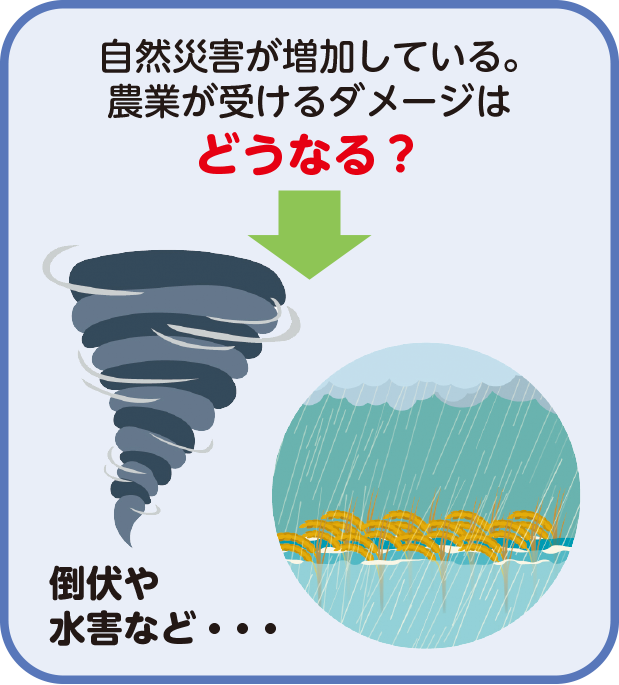 自然災害が増加している。農業が受けるダメージはどうなる？