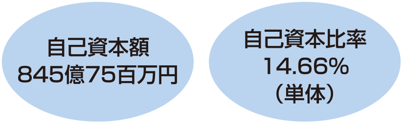 自己資本額と自己資本比率
