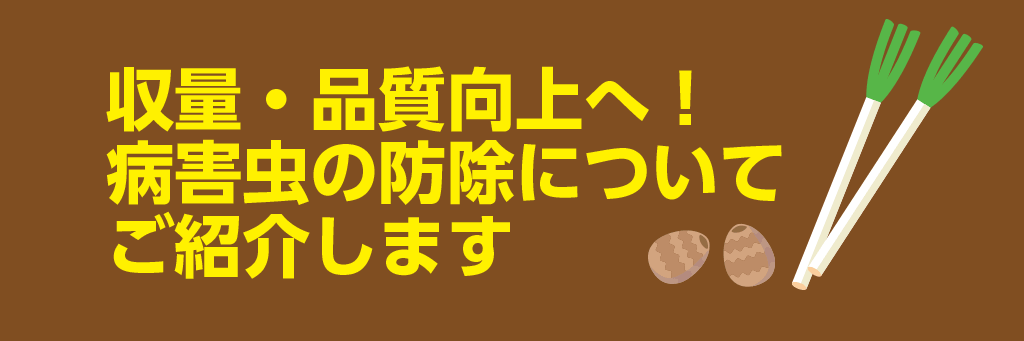 収量・品質向上へ！病害虫の防除についてご紹介します
