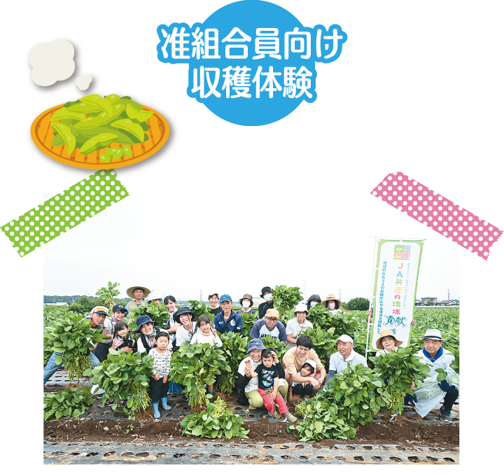 准組合員向け収穫体験