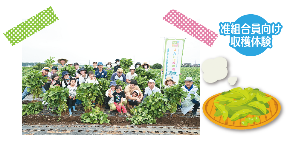 准組合員向け収穫体験