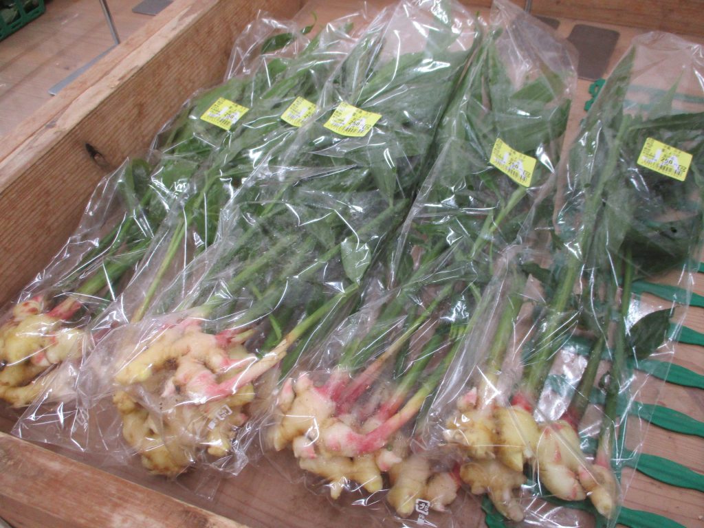 「葉しょうが」のご紹介です！！