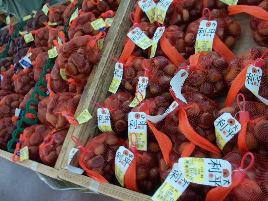 日高特産「栗」のご紹介です！