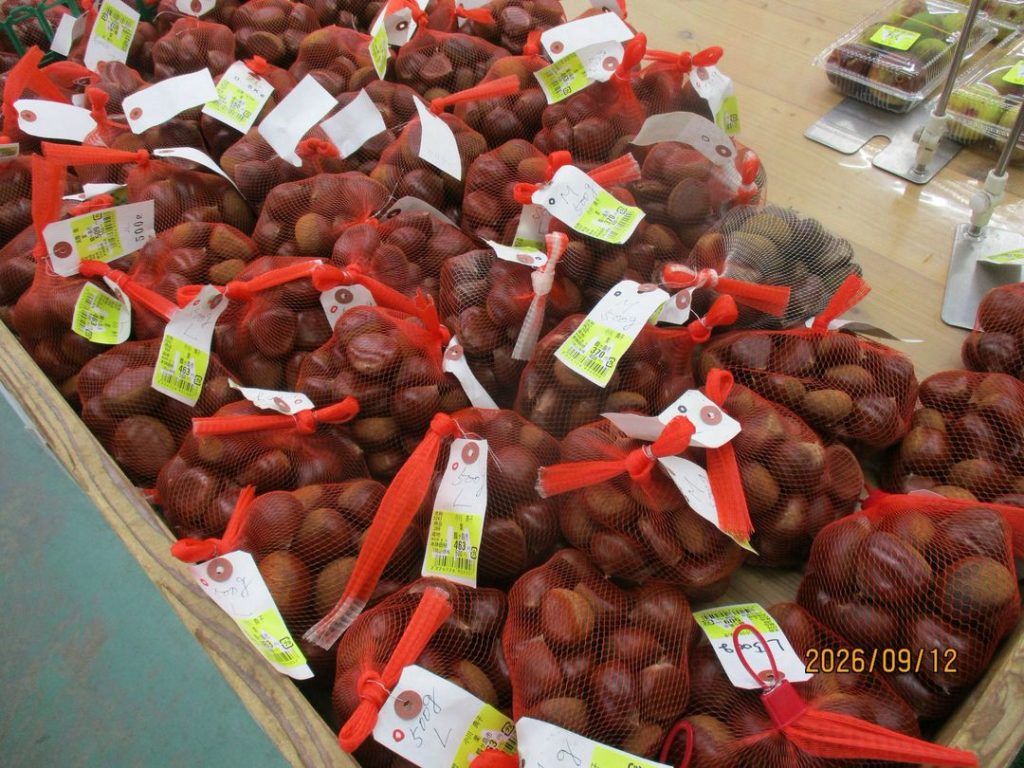 地元の栗の出荷がピークをむかえています☺