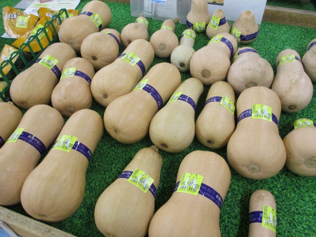 地場産「バターナッツかぼちゃ」のご紹介です！！
