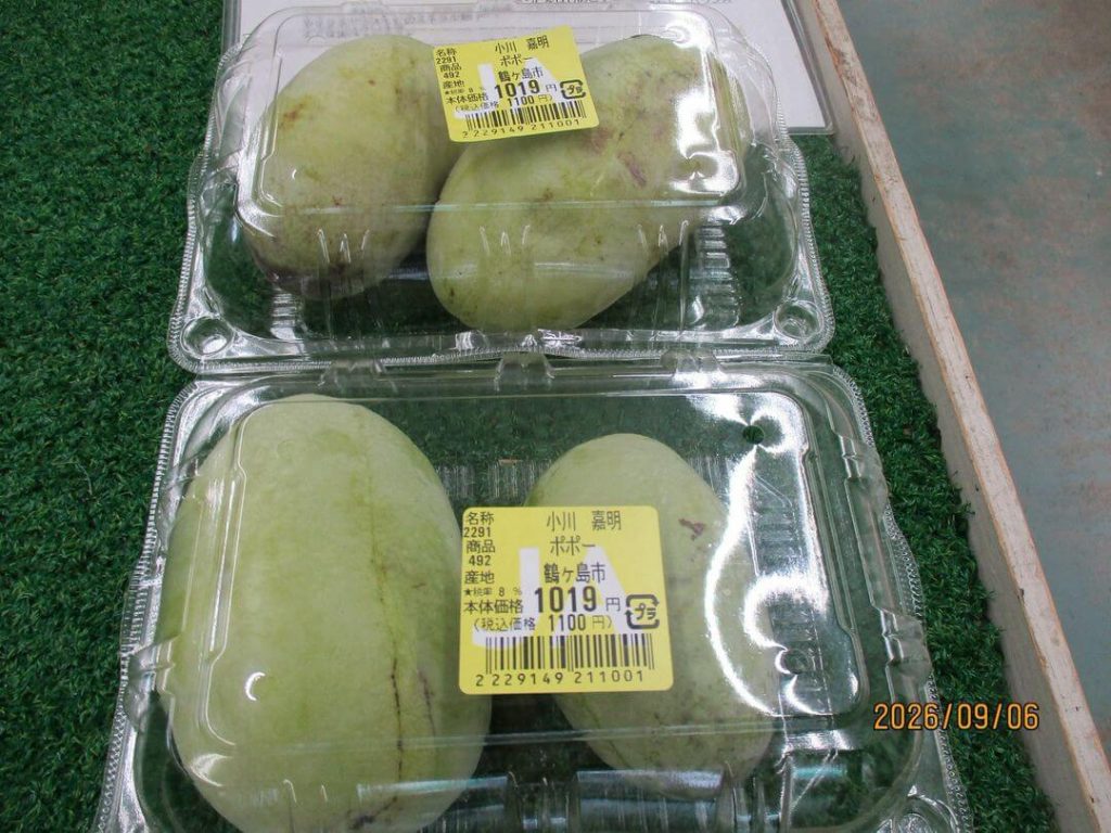 幻のフルーツといわれる《ポポー》の出荷が始まりました