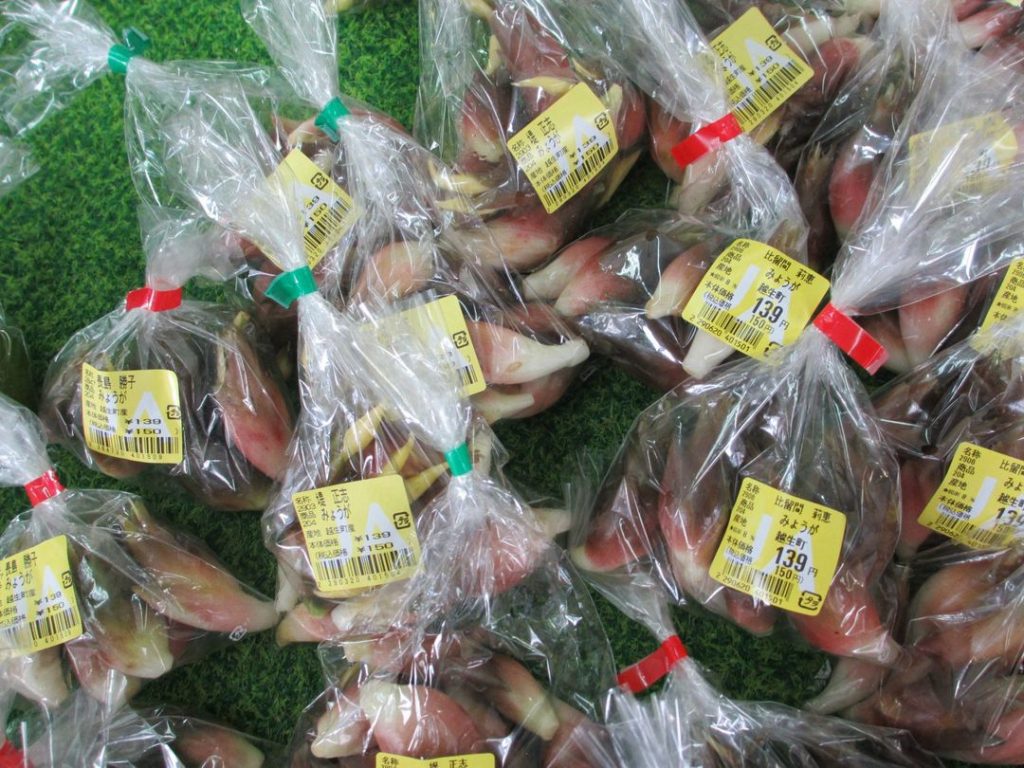 本日は「秋みょうが」のご紹介です。