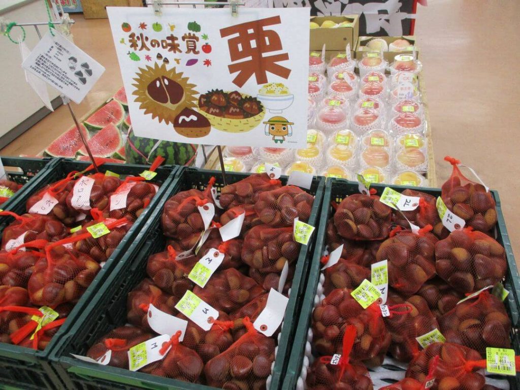 地場産の「栗」が入荷しております！