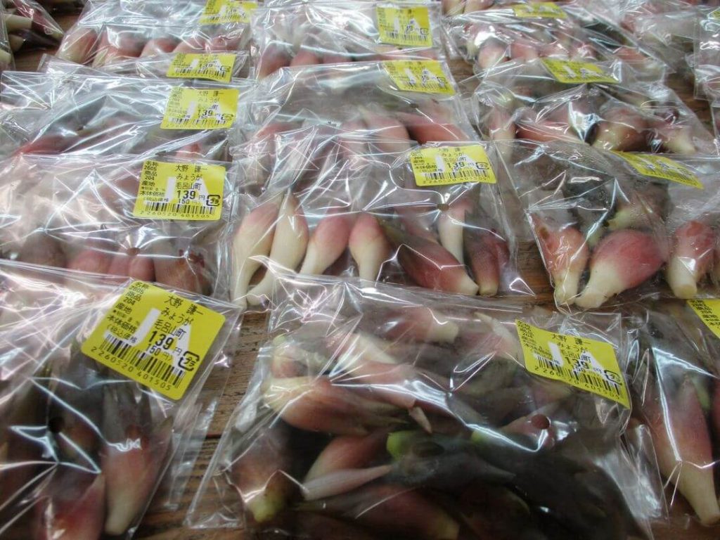 毛呂山産の「みょうが」が多く出荷されています。
