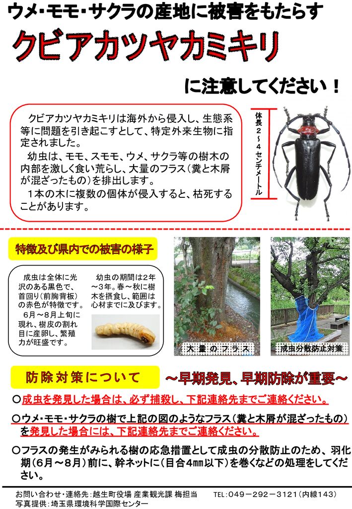 thumbnail of b03580da-b657-467a-8f88-cdc28f1ee65f