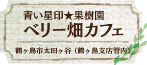 鶴ヶ島市太田ヶ谷（鶴ヶ島支店管内）青い星印★果樹園 ベリー畑カフェ