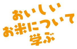 おいしいお米について学ぶ