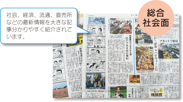 日本農業新聞　総合社会面　社会、経済、流通、直売所などの最新情報を大きな記事で分かりやすく紹介されています。