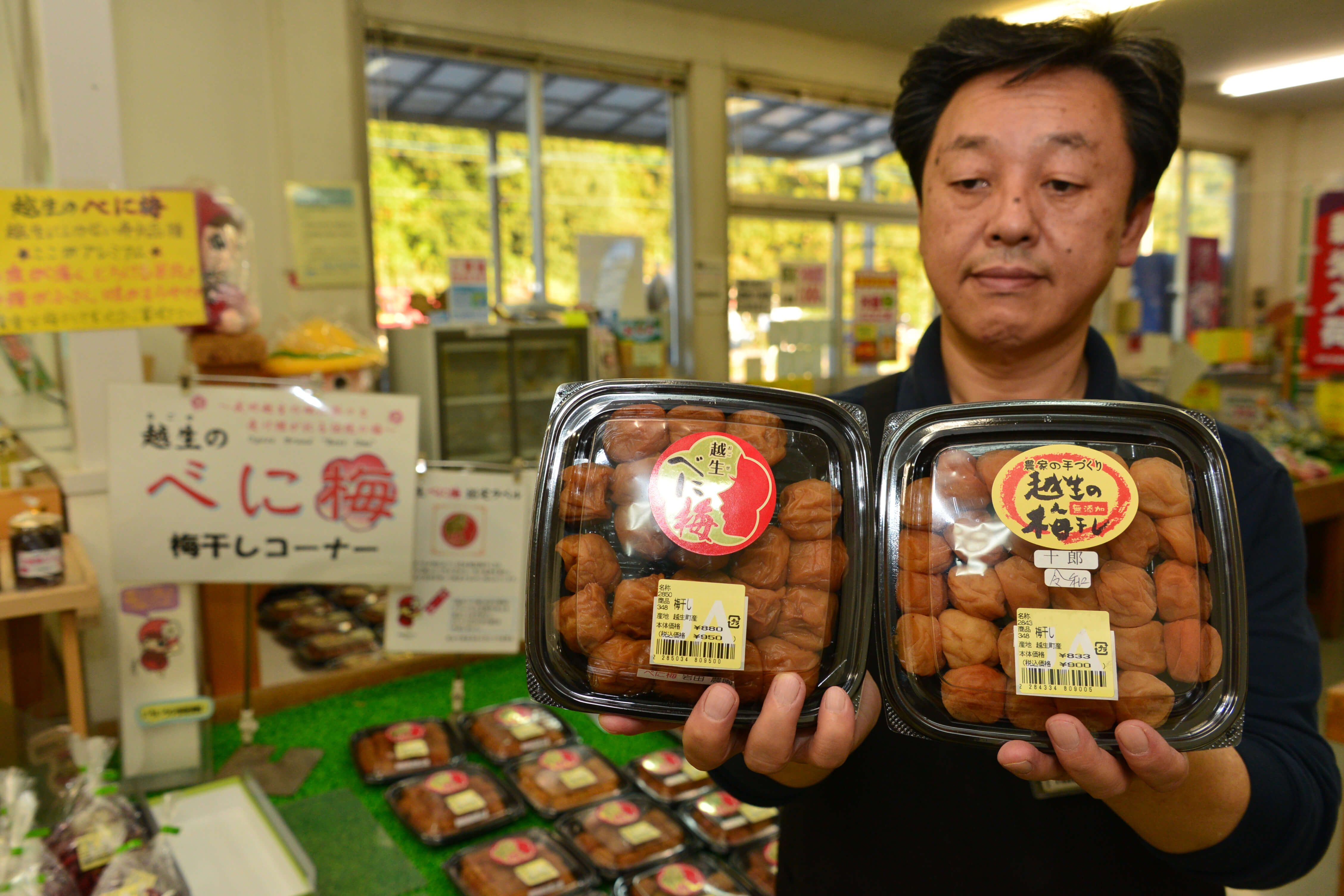 本場の梅干し べに梅 が人気 埼玉県越生町 農産物情報 Jaいるま野