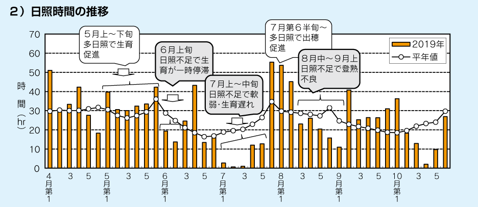 ２）日照時間の推移