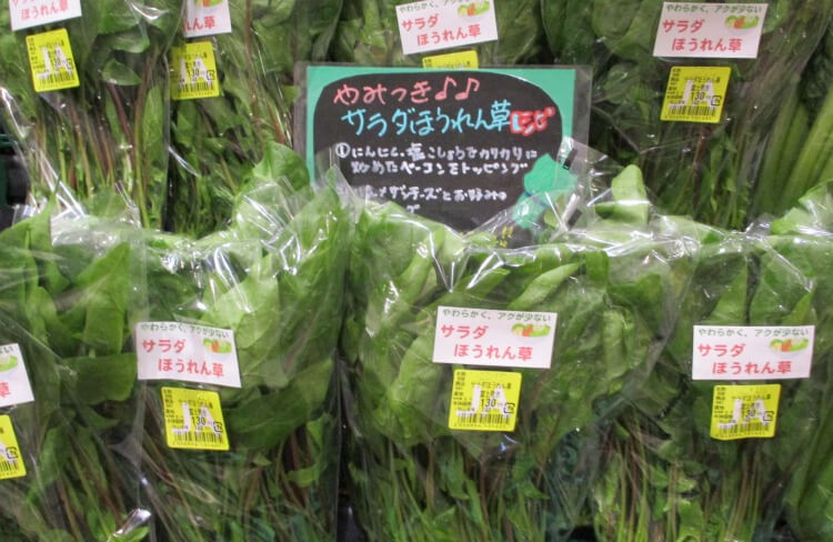 サラダ ほうれん草 ほうれん草、生で食べたらダメ！冬が旬の栄養満点“買い”野菜