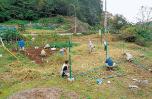 中山間地域で休耕地を整備活用(JAいるま野 吾野支店)