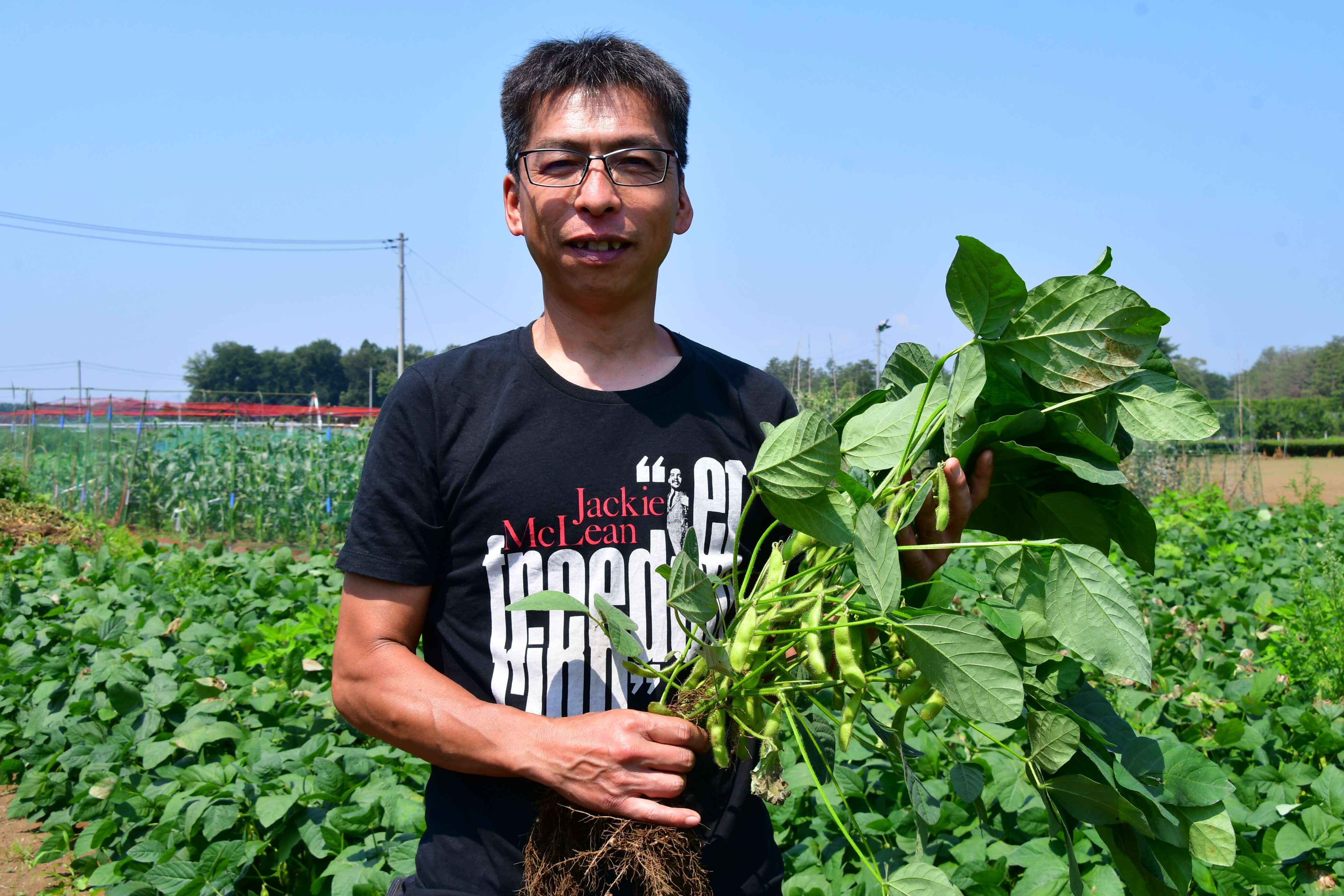 エダマメ 収穫最盛期 埼玉県狭山市 農産物情報 Jaいるま野