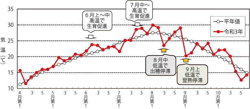 水稲生育期間中の平均気温の推移