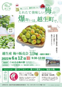 越生梅のサムネイル