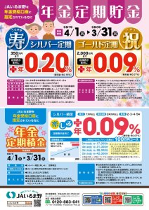 00134715_年金受取・定期定積チラシ(最終)-02のサムネイル