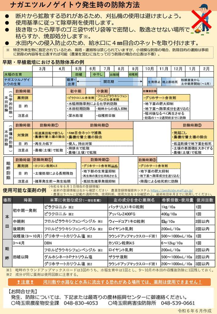 ナガエ2のサムネイル